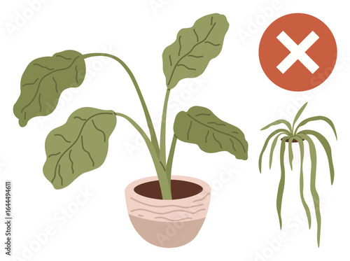 Healthy green potted plant next to withered plant and crossed circle. Ideal for gardening, plant care, sustainability, health, responsibility, environmental awareness, simple flat metaphor