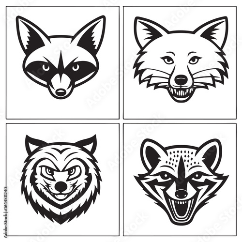 Wild Canid Heads Fox, Raccoon, Wolf