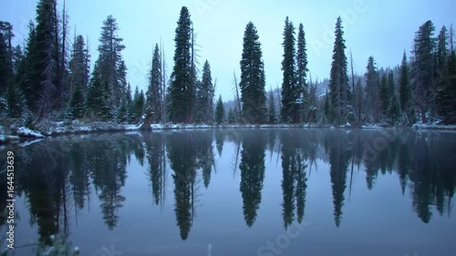 Winter lake reflecting trees