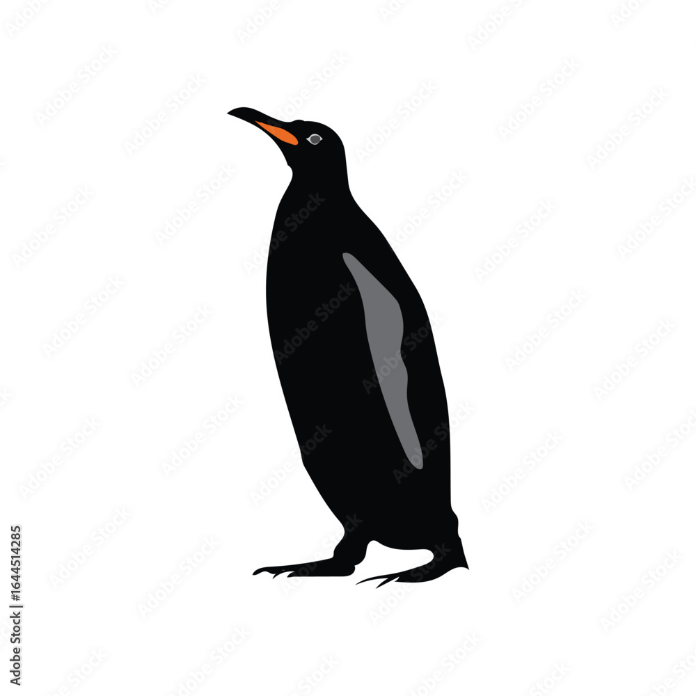Fototapeta premium Cute Penguin Illustration Art Modern Animal Vector .