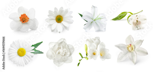 Set of fresh flowers on whi...