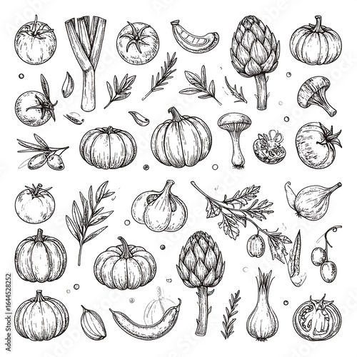Hand-drawn illustration of various vegetables and herbs