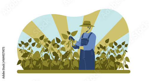 A farmer inspects the health of his crops in his field under a sunny background in the summertime vector illustration