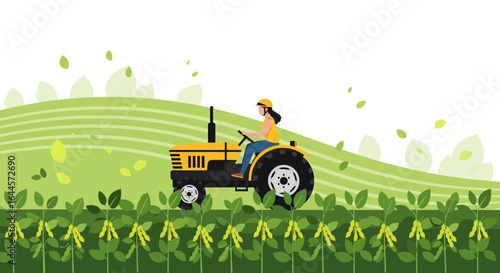 Agricultural landscape with a woman driving a tractor in a soybean field illustration