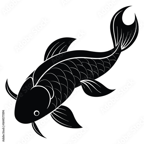 Black koi fish swimming gracefully white background