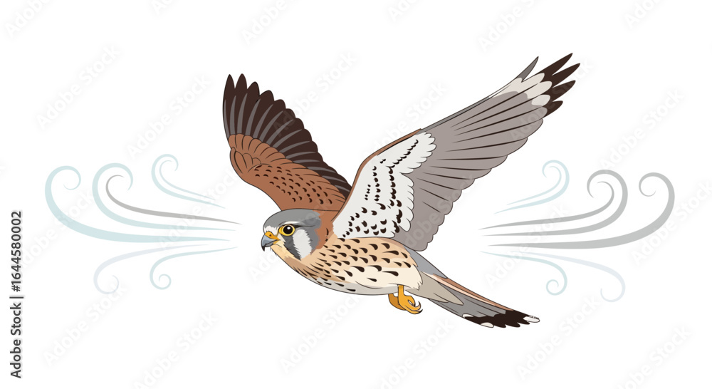 Obraz premium Artwork of a Kestrel in Flight with Stylized Wind Illustration on White Background
