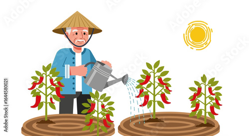 Asian farmer watering chili plants with traditional hat in rural agriculture scene