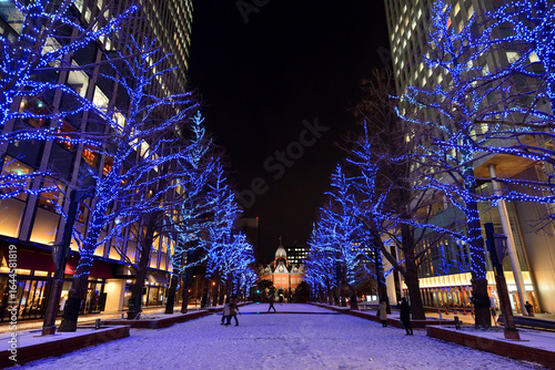 さっぽろホワイトイルミネーション　赤れんが庁舎