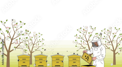Beekeeper inspecting beehives in spring orchard a harmonious blend of nature and labor