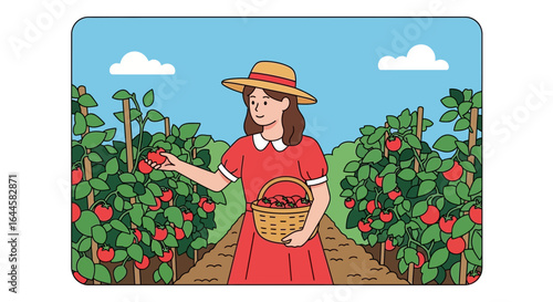Cartoon farmer harvesting ripe red tomatoes in garden during sunny day seasonal work