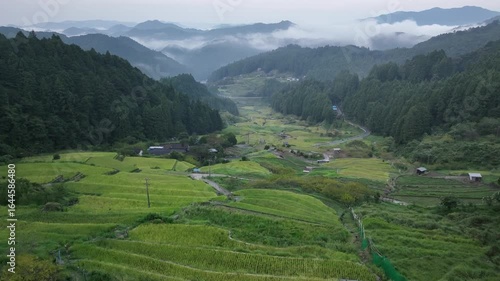 四谷千枚田の早朝の景色