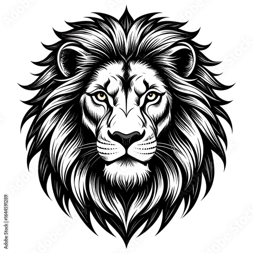 Black and white lion head