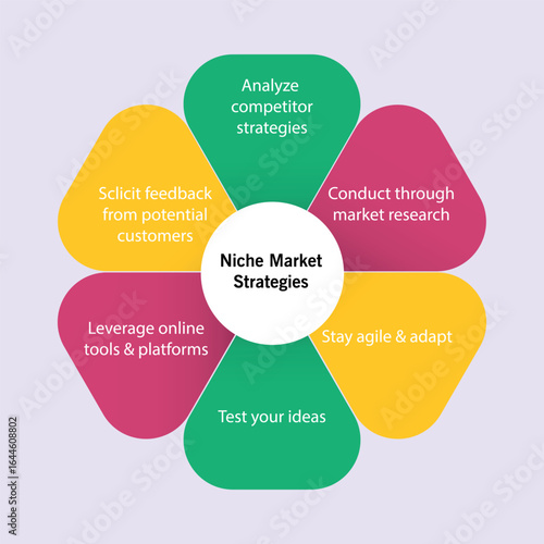 Web Niche Market Strategy Infographic vector art illustrator graph