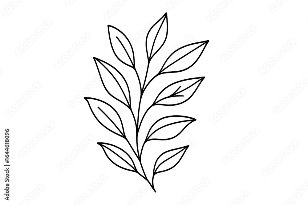 Fototapeta premium Botanical leaf line illustration for natural designs. Elegant plant branch with foliage. Minimalist floral doodle sketch. Vector outline art isolated on transparent background.