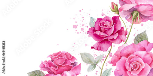 Wallpaper Mural Roses with buds and green leaves hand drawn watercolor illustration isolated on white background with spots and splashes. Colorful floral template for wedding, beauty, holiday design, card, invitation Torontodigital.ca