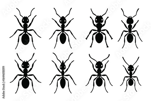 Ants silhouette vector icon set. Black insect collection for entomology, nature design. Minimalist animal illustration. Simple bug pictogram graphic element for logo.