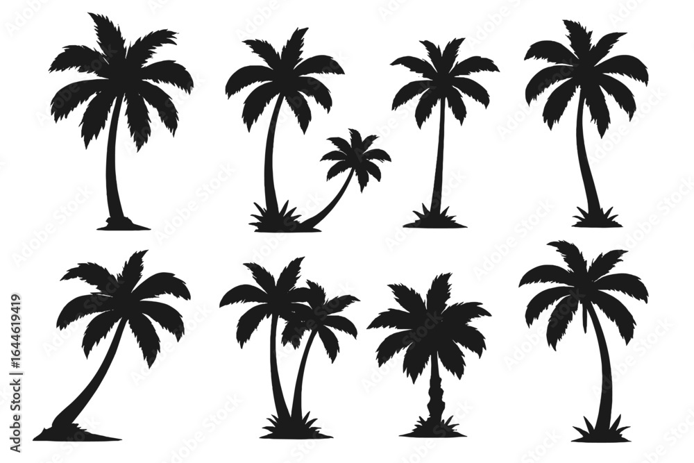 Fototapeta premium Set of black palm tree silhouettes. Tropical exotic island tree. Summer vacation, travel, and nature design elements. Vector logo or icon collection isolated on white.