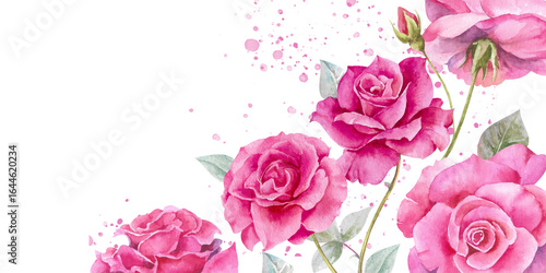 Roses with buds and green leaves hand drawn watercolor illustration isolated on white background with splashes. Colorful floral rectangular frame for wedding, beauty, holiday design, card, invitation
