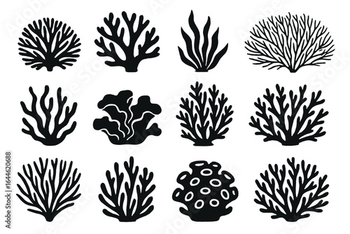 Coral silhouettes set, a collection of marine flora and ocean botanical elements. Diverse coral species and sea reef shapes. Underwater black coral reef vector illustrations.