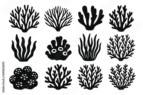 Coral silhouettes set, marine flora collection. Ocean botanical elements, diverse coral species and sea reef shapes. Underwater black coral reef vector illustrations.