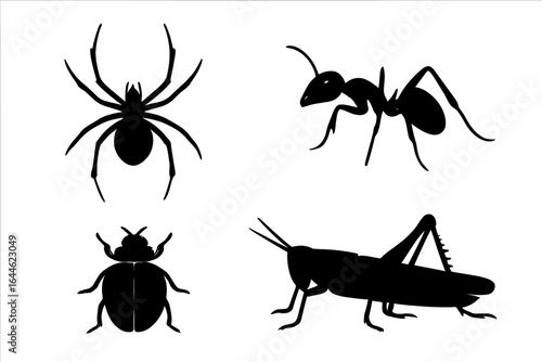Insect silhouette vector set. Spider, ant, beetle, grasshopper, locust bug shapes. Detailed entomology icon collection. Black animal graphic element for design.