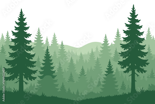 Forest silhouette background. Panoramic landscape with pine, spruce trees. Green misty woods scenery. Vector illustration of layered hills, coniferous forest. Nature, wilderness.
