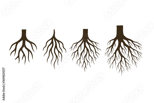 Collection of tree root designs, from modern abstract to detailed realistic styles. Underground root system vector illustration. Concept for nature, growth, foundation.