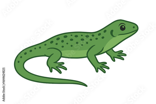 Cute green lizard vector illustration. Simple reptile or salamander cartoon character icon. Isolated wildlife animal graphic for nature, education, or kids design projects.