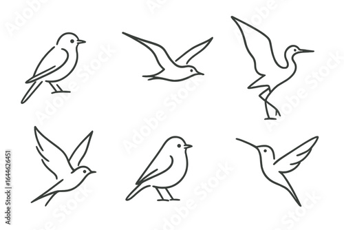 Set of minimalist bird line art icons. Various bird species in dynamic poses for logo design. Simple elegant vector collection of swallow, hummingbird, heron, and robin.