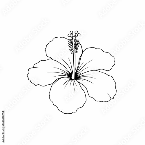 Detailed Hibiscus Flower Line Art with Prominent Stamen and Five Petals
