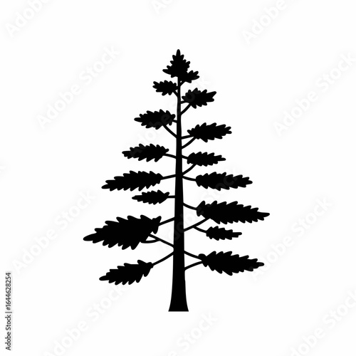 Silhouette of a Detailed Evergreen Tree with Textured Foliage