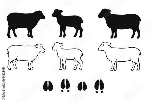 Sheep and lamb vector icon set with silhouettes, outlines, and hoof prints. Farm animal livestock collection for graphic design. Cute ewe illustration isolated on white.