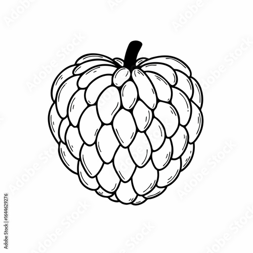 Detailed Line Art of a Sugar Apple Fruit with Scaly Texture