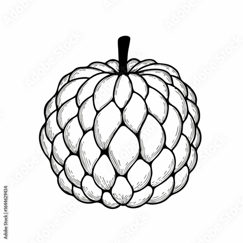 Detailed Black and White Sugar Apple Illustration with Distinctive Scaly Texture