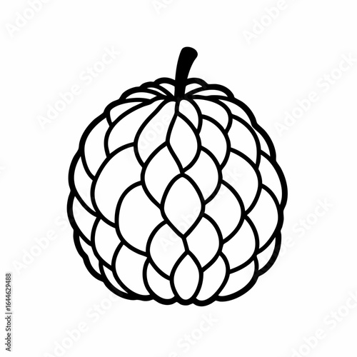 Black and white line drawing of a sugar apple fruit with stem