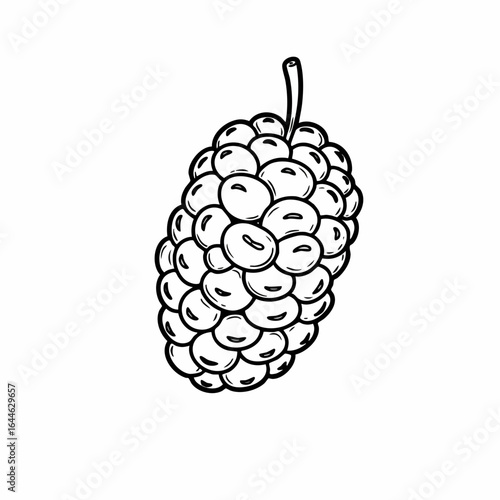 Detailed Black and White Illustration of a Mulberry Fruit with Stem