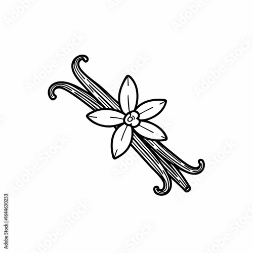 Detailed Black and White Illustration of Vanilla Bean and Flower