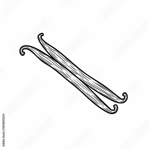 Two Vanilla Beans: Detailed Black and White Line Art Illustration