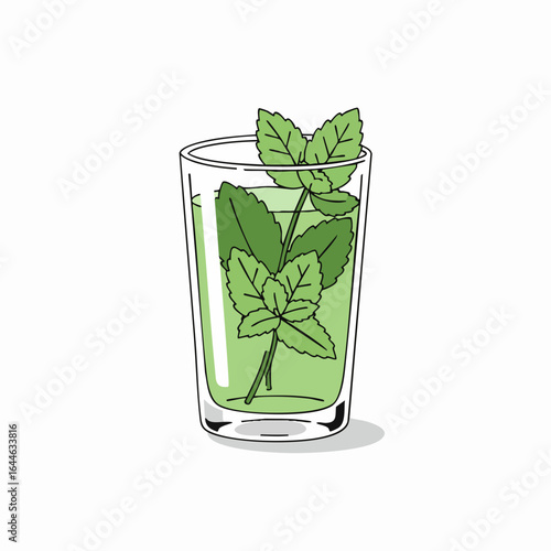 Refreshing mint infusion in a clear glass, garnished with fresh sprigs