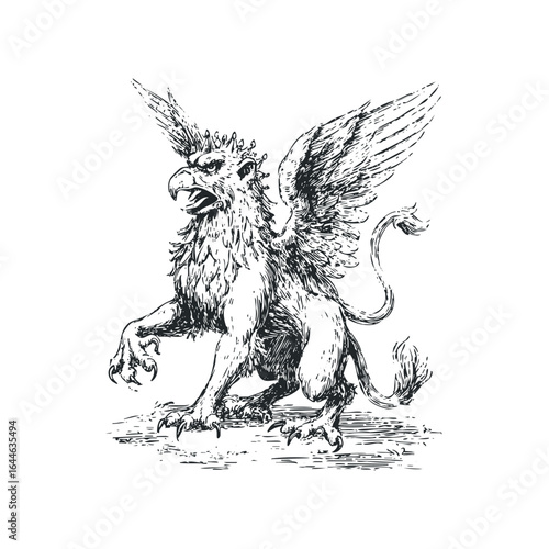 Mythical griffin creature with eagle head and lion body detailed engraving