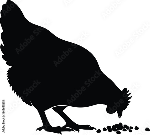 Silhouette of a chicken pecking at grains, depicting a common scene in farming and poultry settings