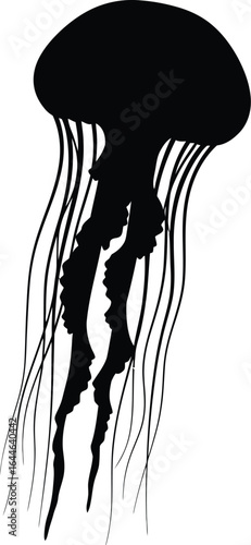 A captivating black silhouette of a jellyfish gracefully floating, representing the mysterious beauty and delicate nature of marine life