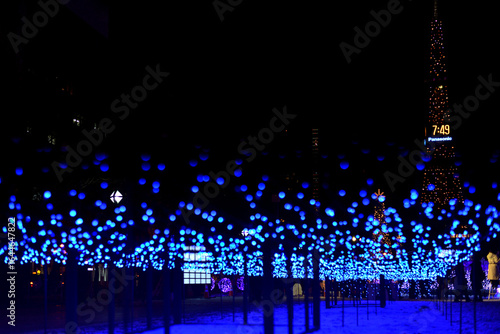 さっぽろホワイトイルミネーション 大通公園