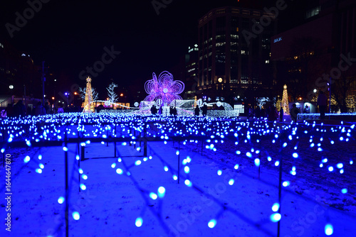さっぽろホワイトイルミネーション 大通公園
