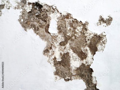 The wall surface texture is severely damaged, with peeling paint and crumbling plaster. Darker, moldy areas are present, indicating a moisture problem or water seepage from within the wall.
