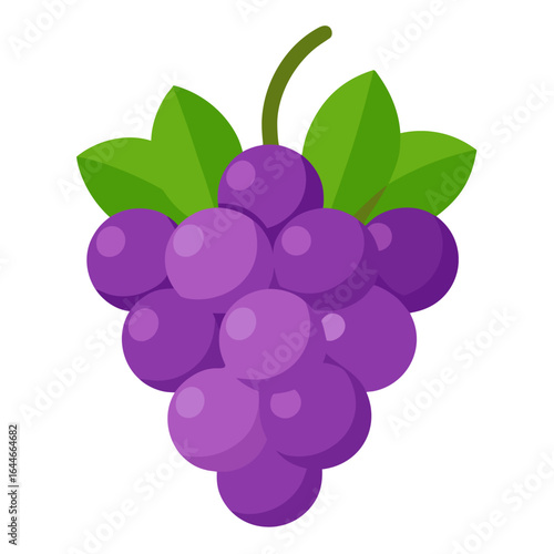 Bunch of purple grapes isolated on white background