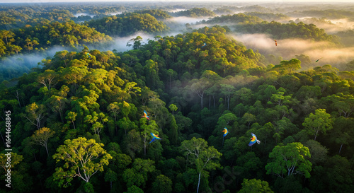 landscape with trees