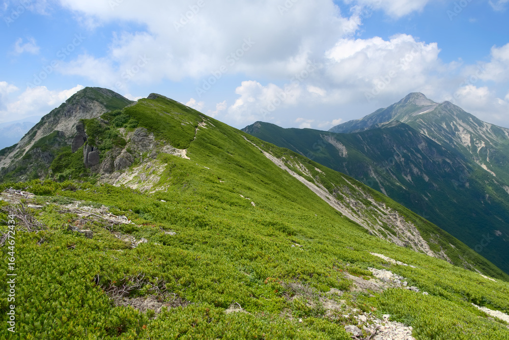 Fototapeta premium 北アルプス、秩父岩付近の稜線から望む抜戸岳と笠ヶ岳
