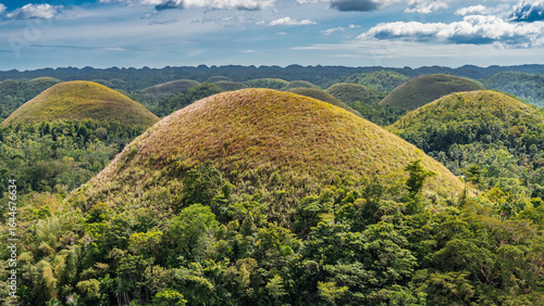Rows of unique rounded karst hills covered with brownish grass stretch to the horizon. Lush tropical vegetation in the valley. Blue sky, clouds. Philippines. Bohol. Chocolate Hills Natural Monument
