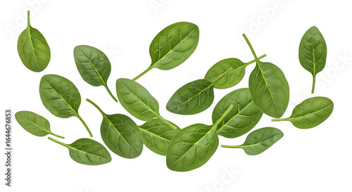 Fresh green spinach leaves scattered isolated on a transparent background